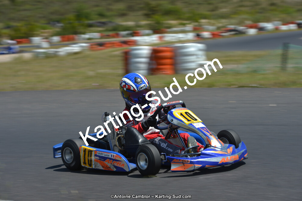 DSC_8517.jpg