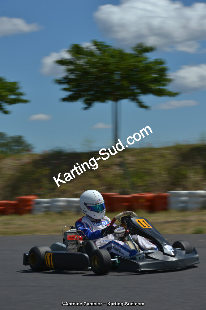 DSC_8594.jpg