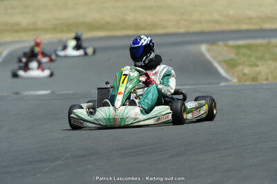 22/06/2014 : 4ème manche du Trophée Jean Paul Puyrigaud à Layrac (Photos Patrick Lascombes) 2014 — karting