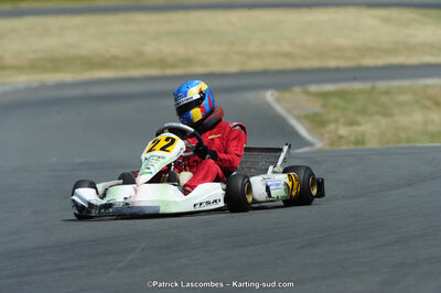 22/06/2014 : 4ème manche du Trophée Jean Paul Puyrigaud à Layrac (Photos Patrick Lascombes) 2014 — karting