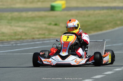 22/06/2014 : 4ème manche du Trophée Jean Paul Puyrigaud à Layrac (Photos Patrick Lascombes) 2014 — karting