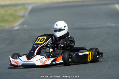 22/06/2014 : 4ème manche du Trophée Jean Paul Puyrigaud à Layrac (Photos Patrick Lascombes) 2014 — karting