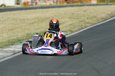 22/06/2014 : 4ème manche du Trophée Jean Paul Puyrigaud à Layrac (Photos Patrick Lascombes) 2014 — karting