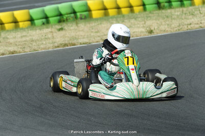 22/06/2014 : 4ème manche du Trophée Jean Paul Puyrigaud à Layrac (Photos Patrick Lascombes) 2014 — karting
