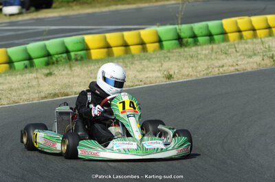 22/06/2014 : 4ème manche du Trophée Jean Paul Puyrigaud à Layrac (Photos Patrick Lascombes) 2014 — karting