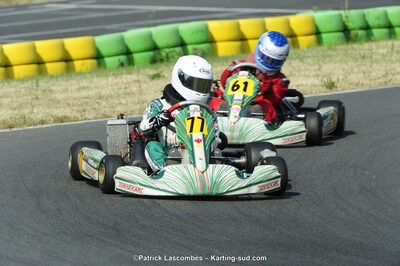 22/06/2014 : 4ème manche du Trophée Jean Paul Puyrigaud à Layrac (Photos Patrick Lascombes) 2014 — karting
