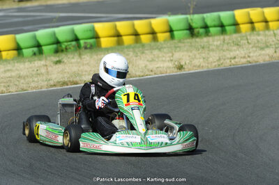 22/06/2014 : 4ème manche du Trophée Jean Paul Puyrigaud à Layrac (Photos Patrick Lascombes) 2014 — karting