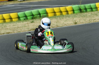 22/06/2014 : 4ème manche du Trophée Jean Paul Puyrigaud à Layrac (Photos Patrick Lascombes) 2014 — karting