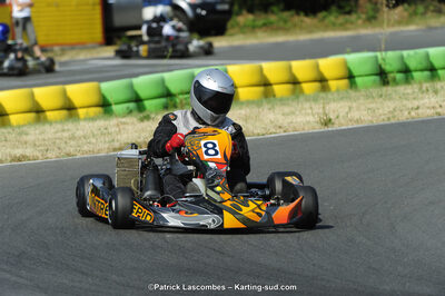 22/06/2014 : 4ème manche du Trophée Jean Paul Puyrigaud à Layrac (Photos Patrick Lascombes) 2014 — karting