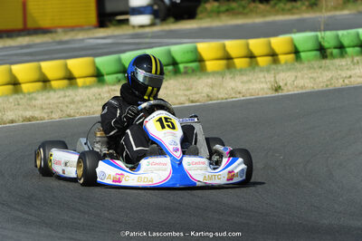 22/06/2014 : 4ème manche du Trophée Jean Paul Puyrigaud à Layrac (Photos Patrick Lascombes) 2014 — karting