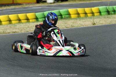 22/06/2014 : 4ème manche du Trophée Jean Paul Puyrigaud à Layrac (Photos Patrick Lascombes) 2014 — karting
