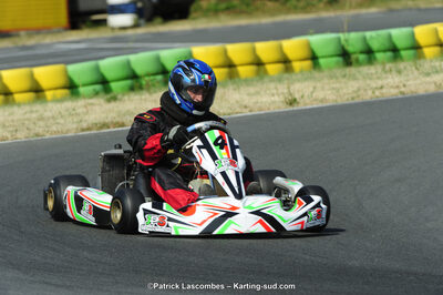 22/06/2014 : 4ème manche du Trophée Jean Paul Puyrigaud à Layrac (Photos Patrick Lascombes) 2014 — karting