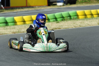 22/06/2014 : 4ème manche du Trophée Jean Paul Puyrigaud à Layrac (Photos Patrick Lascombes) 2014 — karting