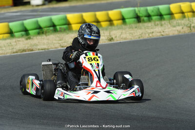 22/06/2014 : 4ème manche du Trophée Jean Paul Puyrigaud à Layrac (Photos Patrick Lascombes) 2014 — karting