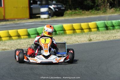 22/06/2014 : 4ème manche du Trophée Jean Paul Puyrigaud à Layrac (Photos Patrick Lascombes) 2014 — karting