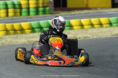 22/06/2014 : 4ème manche du Trophée Jean Paul Puyrigaud à Layrac (Photos Patrick Lascombes) 2014 — karting