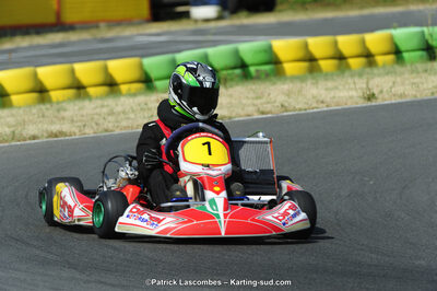 22/06/2014 : 4ème manche du Trophée Jean Paul Puyrigaud à Layrac (Photos Patrick Lascombes) 2014 — karting