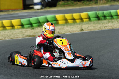 22/06/2014 : 4ème manche du Trophée Jean Paul Puyrigaud à Layrac (Photos Patrick Lascombes) 2014 — karting