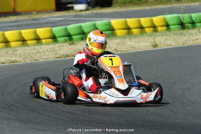 22/06/2014 : 4ème manche du Trophée Jean Paul Puyrigaud à Layrac (Photos Patrick Lascombes) 2014 — karting