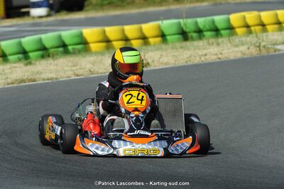 22/06/2014 : 4ème manche du Trophée Jean Paul Puyrigaud à Layrac (Photos Patrick Lascombes) 2014 — karting