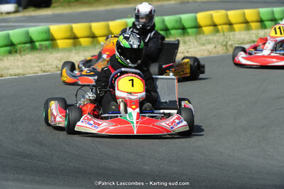 22/06/2014 : 4ème manche du Trophée Jean Paul Puyrigaud à Layrac (Photos Patrick Lascombes) 2014 — karting