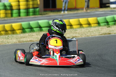 22/06/2014 : 4ème manche du Trophée Jean Paul Puyrigaud à Layrac (Photos Patrick Lascombes) 2014 — karting
