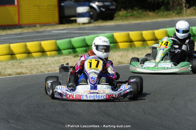 22/06/2014 : 4ème manche du Trophée Jean Paul Puyrigaud à Layrac (Photos Patrick Lascombes) 2014 — karting