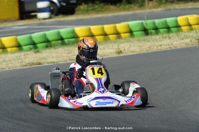 22/06/2014 : 4ème manche du Trophée Jean Paul Puyrigaud à Layrac (Photos Patrick Lascombes) 2014 — karting