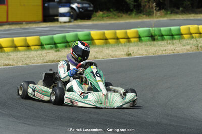 22/06/2014 : 4ème manche du Trophée Jean Paul Puyrigaud à Layrac (Photos Patrick Lascombes) 2014 — karting