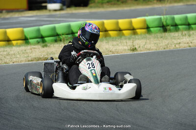 22/06/2014 : 4ème manche du Trophée Jean Paul Puyrigaud à Layrac (Photos Patrick Lascombes) 2014 — karting