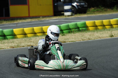 22/06/2014 : 4ème manche du Trophée Jean Paul Puyrigaud à Layrac (Photos Patrick Lascombes) 2014 — karting