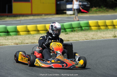 22/06/2014 : 4ème manche du Trophée Jean Paul Puyrigaud à Layrac (Photos Patrick Lascombes) 2014 — karting