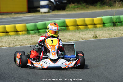 22/06/2014 : 4ème manche du Trophée Jean Paul Puyrigaud à Layrac (Photos Patrick Lascombes) 2014 — karting