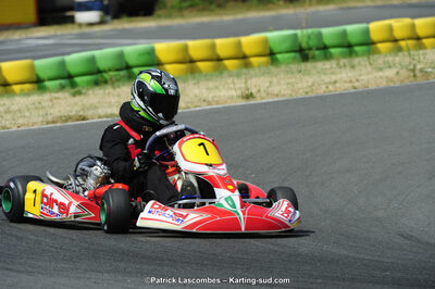 22/06/2014 : 4ème manche du Trophée Jean Paul Puyrigaud à Layrac (Photos Patrick Lascombes) 2014 — karting