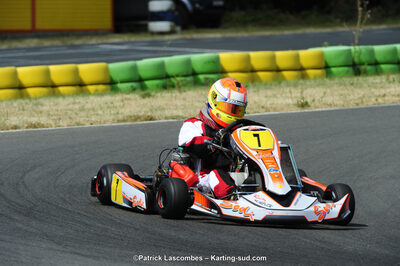 22/06/2014 : 4ème manche du Trophée Jean Paul Puyrigaud à Layrac (Photos Patrick Lascombes) 2014 — karting