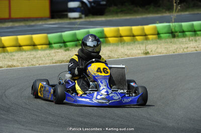 22/06/2014 : 4ème manche du Trophée Jean Paul Puyrigaud à Layrac (Photos Patrick Lascombes) 2014 — karting
