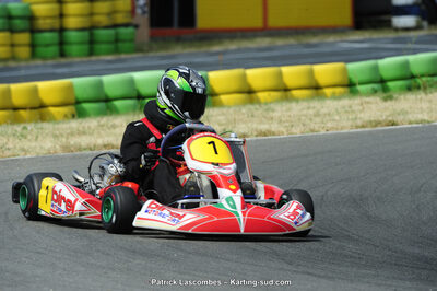 22/06/2014 : 4ème manche du Trophée Jean Paul Puyrigaud à Layrac (Photos Patrick Lascombes) 2014 — karting
