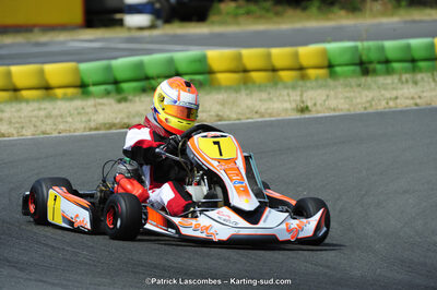 22/06/2014 : 4ème manche du Trophée Jean Paul Puyrigaud à Layrac (Photos Patrick Lascombes) 2014 — karting
