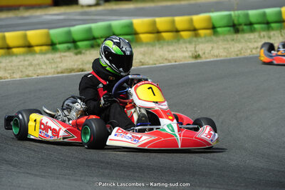 22/06/2014 : 4ème manche du Trophée Jean Paul Puyrigaud à Layrac (Photos Patrick Lascombes) 2014 — karting