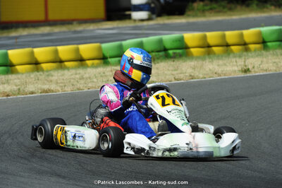 22/06/2014 : 4ème manche du Trophée Jean Paul Puyrigaud à Layrac (Photos Patrick Lascombes) 2014 — karting