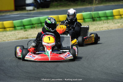 22/06/2014 : 4ème manche du Trophée Jean Paul Puyrigaud à Layrac (Photos Patrick Lascombes) 2014 — karting