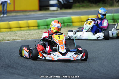 22/06/2014 : 4ème manche du Trophée Jean Paul Puyrigaud à Layrac (Photos Patrick Lascombes) 2014 — karting