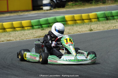 22/06/2014 : 4ème manche du Trophée Jean Paul Puyrigaud à Layrac (Photos Patrick Lascombes) 2014 — karting