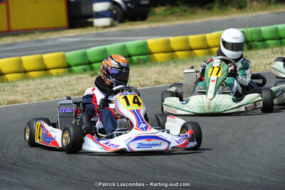 22/06/2014 : 4ème manche du Trophée Jean Paul Puyrigaud à Layrac (Photos Patrick Lascombes) 2014 — karting