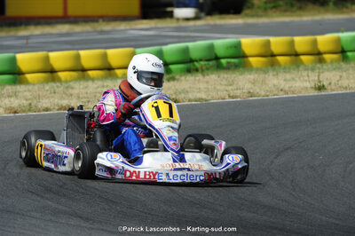 22/06/2014 : 4ème manche du Trophée Jean Paul Puyrigaud à Layrac (Photos Patrick Lascombes) 2014 — karting