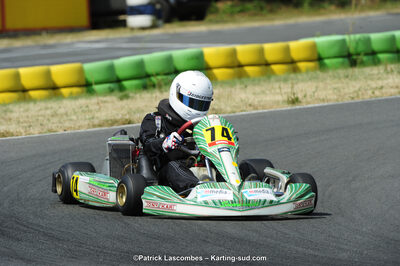 22/06/2014 : 4ème manche du Trophée Jean Paul Puyrigaud à Layrac (Photos Patrick Lascombes) 2014 — karting