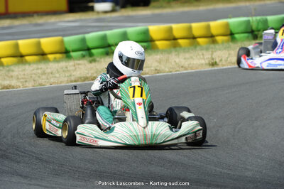 22/06/2014 : 4ème manche du Trophée Jean Paul Puyrigaud à Layrac (Photos Patrick Lascombes) 2014 — karting
