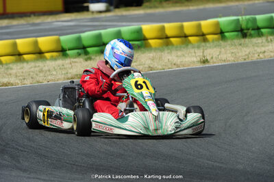 22/06/2014 : 4ème manche du Trophée Jean Paul Puyrigaud à Layrac (Photos Patrick Lascombes) 2014 — karting