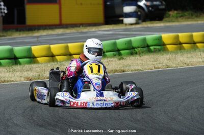22/06/2014 : 4ème manche du Trophée Jean Paul Puyrigaud à Layrac (Photos Patrick Lascombes) 2014 — karting