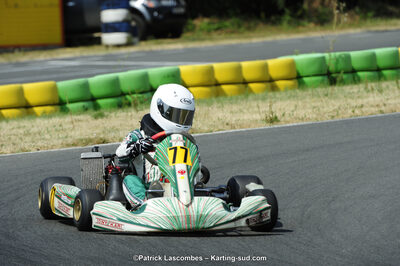22/06/2014 : 4ème manche du Trophée Jean Paul Puyrigaud à Layrac (Photos Patrick Lascombes) 2014 — karting